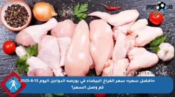 «أفضل سعر» سعر الفراخ البيضاء في بورصة الدواجن اليوم 13-8-2025 كم وصل السعر؟
